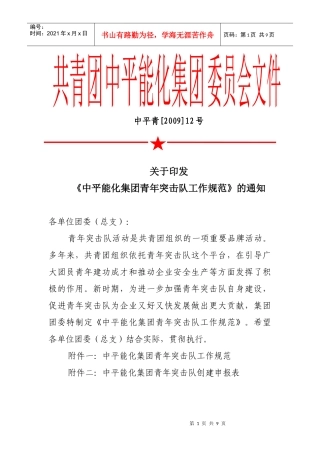 青年突击队工作规范