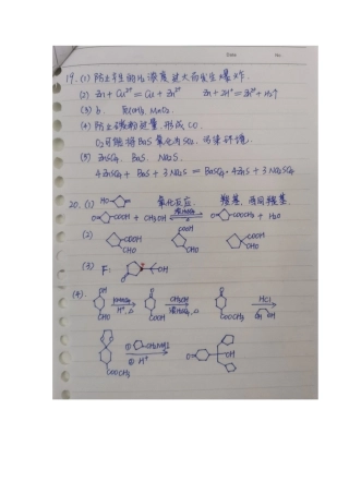 山东省2020届新高考模拟答案