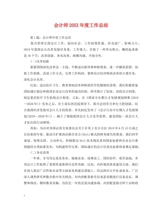 会计师20XX年度工作总结 