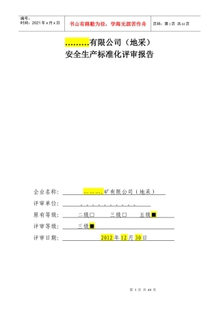 安全标准化评审报告范本