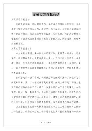 文员实习自我参考总结