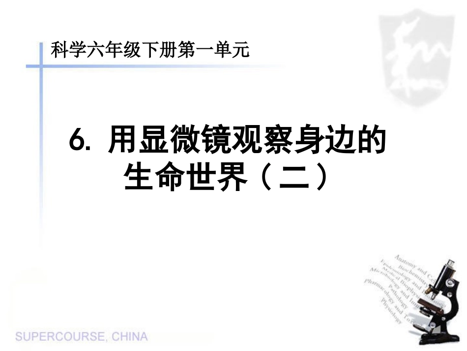 -_用显微镜观察身边的生命世界(二)_第1页