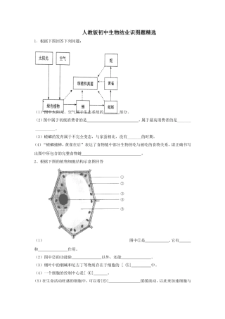 人教版初中生物识图专题(整理版)