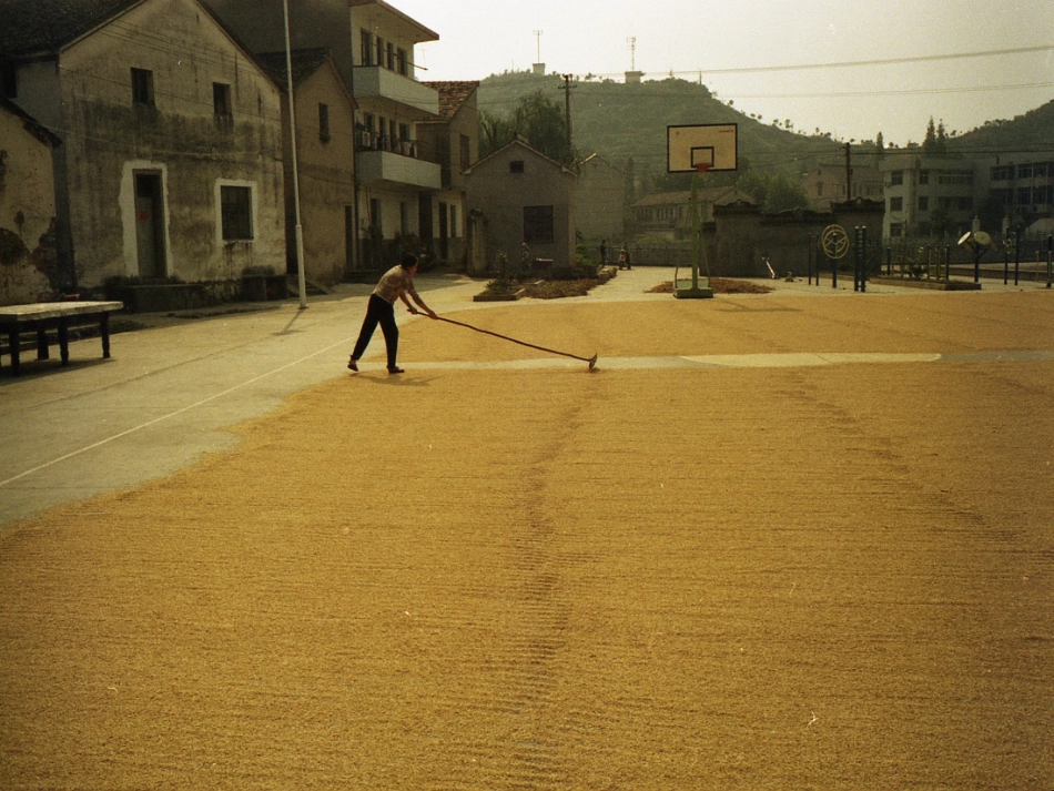 科学五年级上教科版26怎样得到更多的光和热课件_第3页
