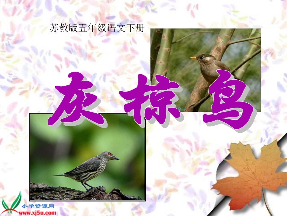 课件-语文-高永萍_第1页