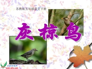 课件-语文-高永萍