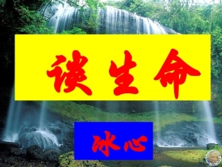 谈生命 (2)