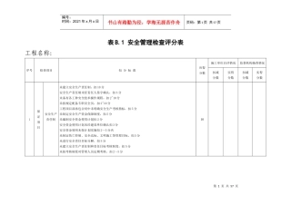 安全检查评分表附表