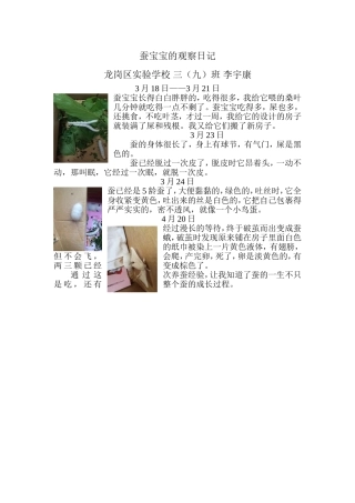 蚕宝宝的观察日记