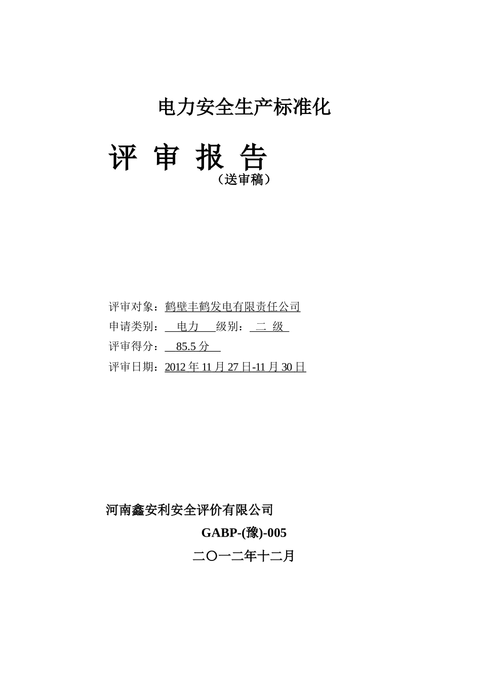 鹤壁丰鹤发电有限公司标准化评审报告(供参考)_第1页