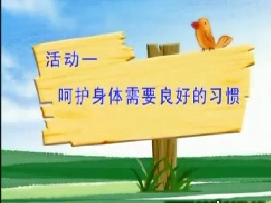 呵护我们的身体===课件_第3页