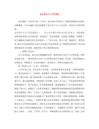 会计审计个人工作总结 