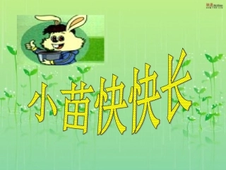 小苗快快长PPT课件