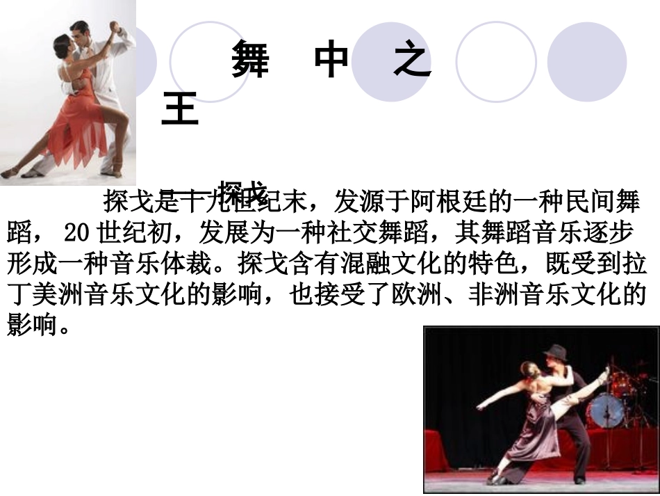 《蓝色的探戈》课件1_第3页
