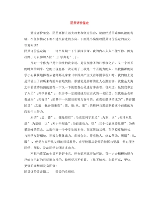 团员评价鉴定