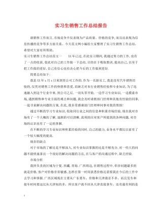 实习生销售工作总结报告
