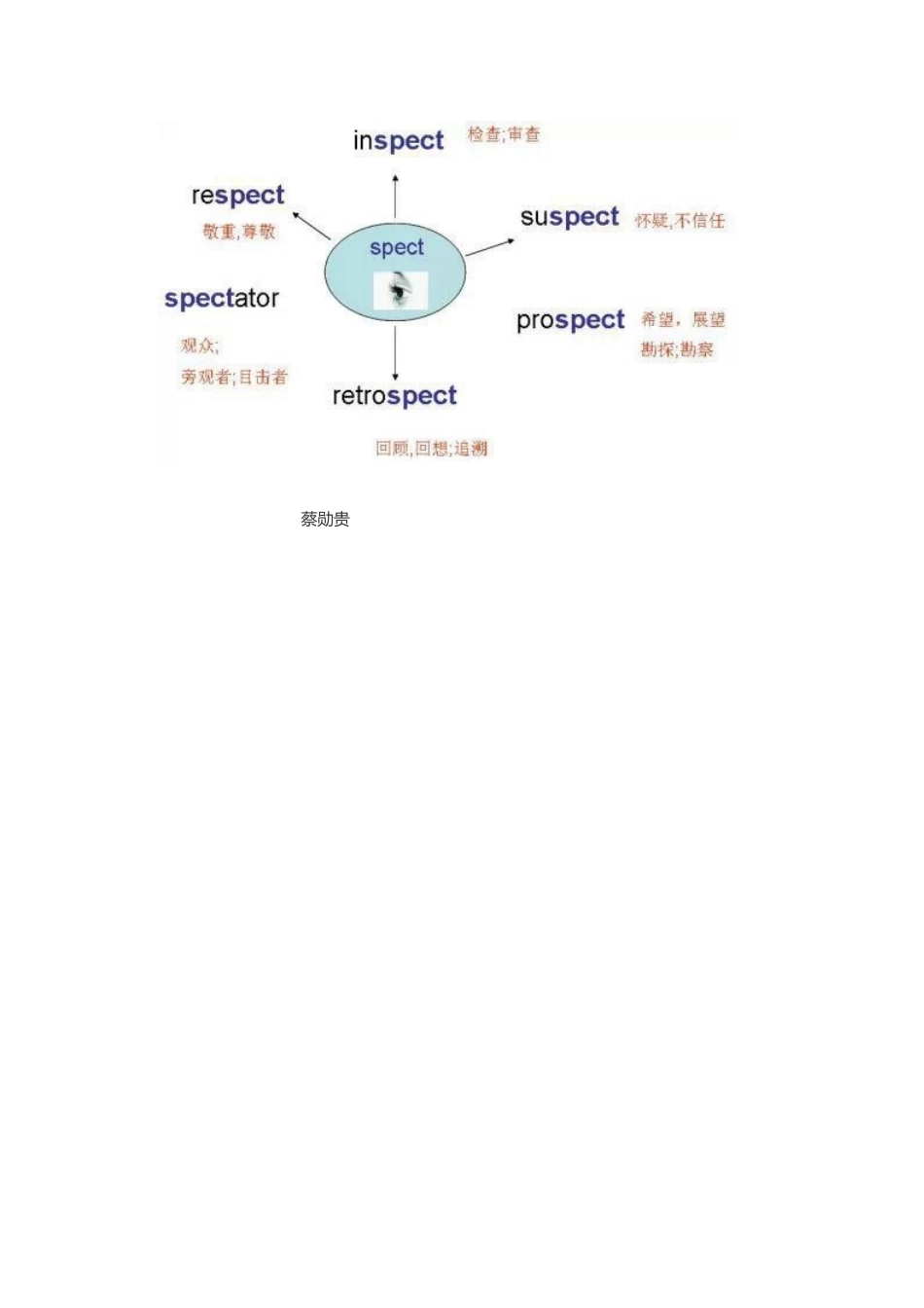 英语单词思维导图_第3页