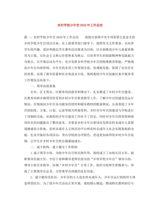 农村学校少年宫年工作总结