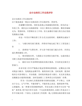 会计出纳员工作自我评价 