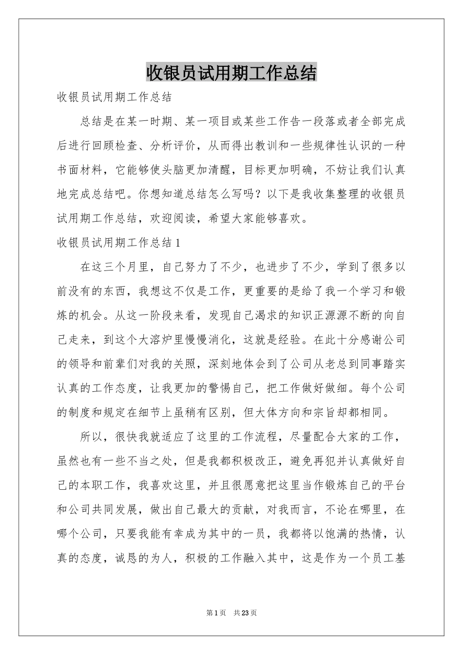 收银员试用期工作参考总结_第1页