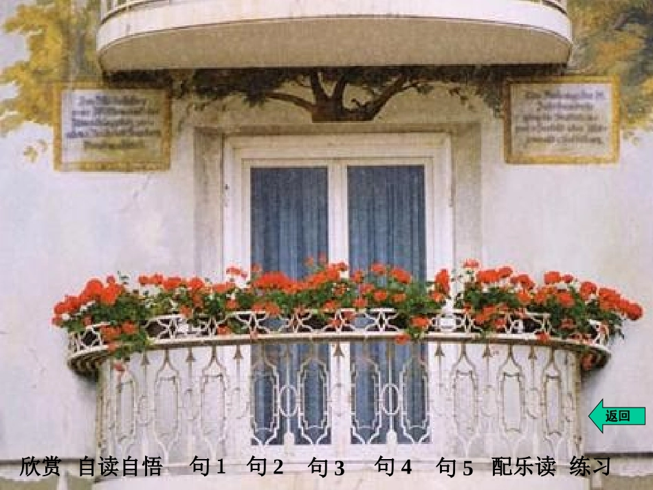 自己花是给别人看的_第2页