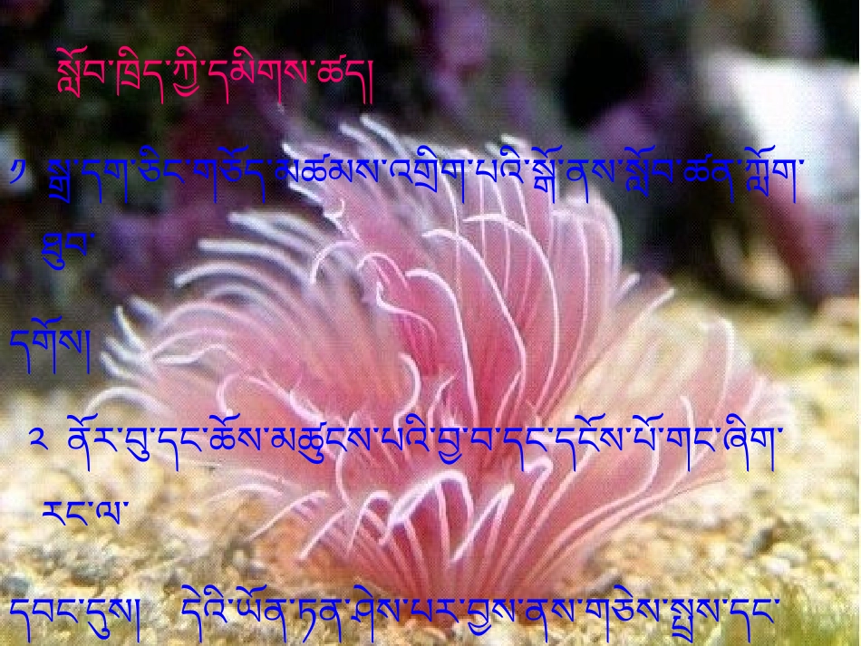 珠宝课件--三年级_第3页