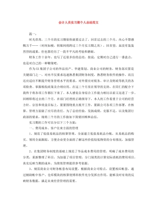 会计人员实习期个人总结范文 