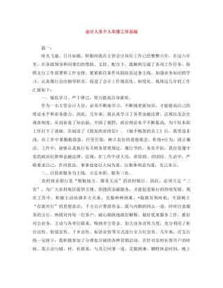 会计人员个人年度工作总结 