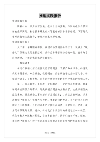 推销实践报告