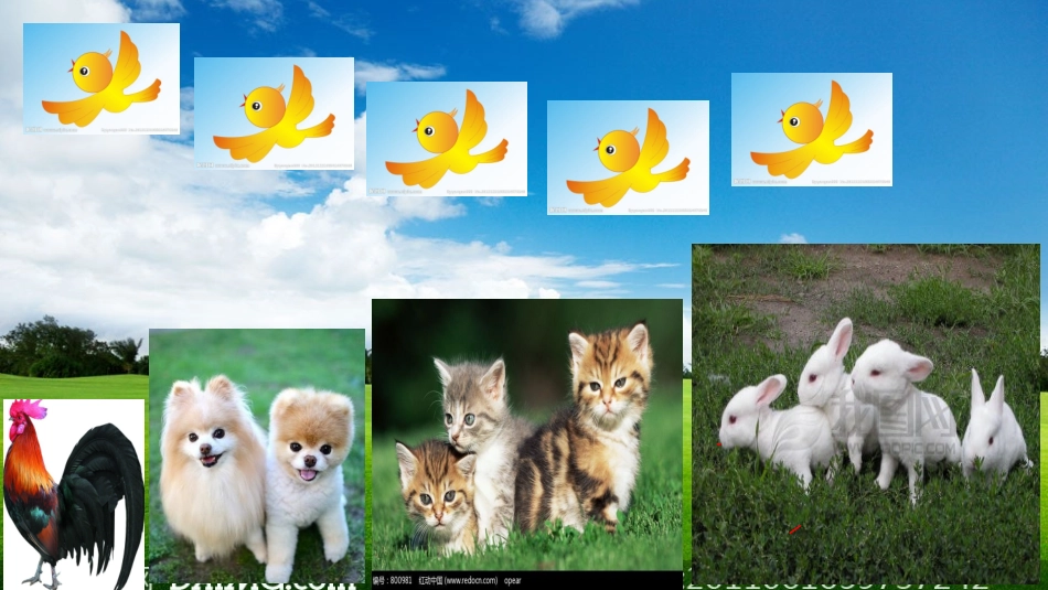 小班数学演示文稿1_第2页