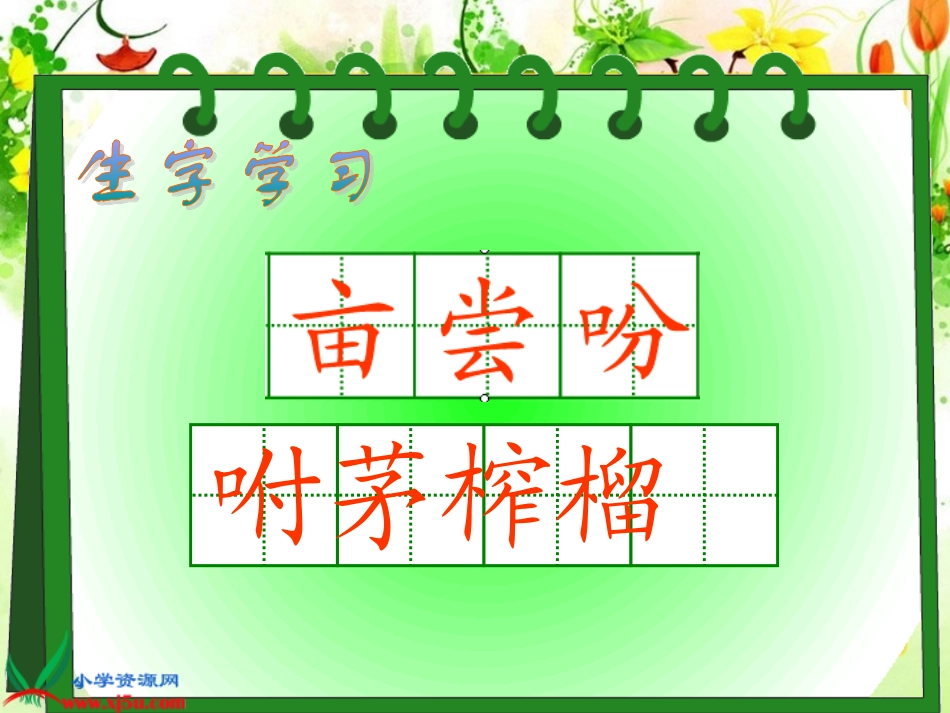 《落花生》课件4_第3页