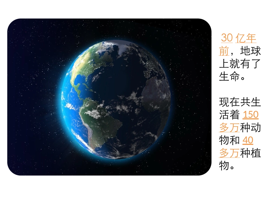 《美丽的生命》课件_第2页