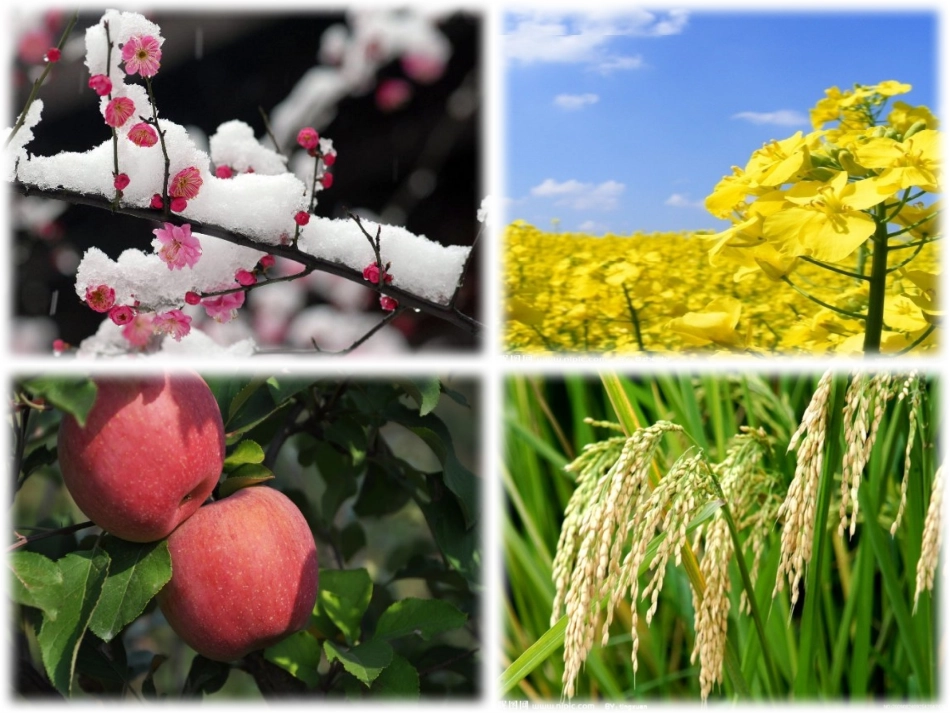 《美丽的生命》课件_第3页