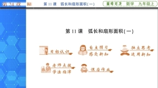 第11课弧长和扇形面积（一）