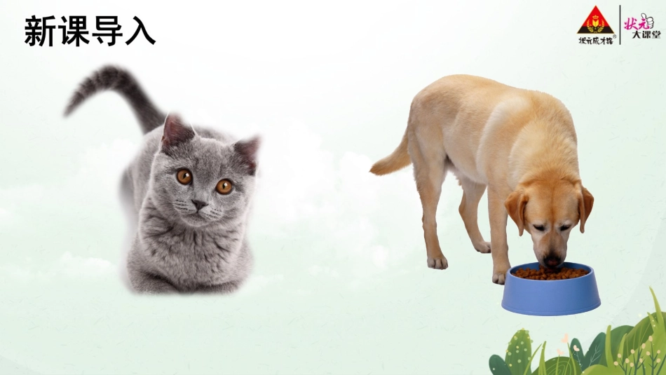 比尾巴【交互版】_第3页