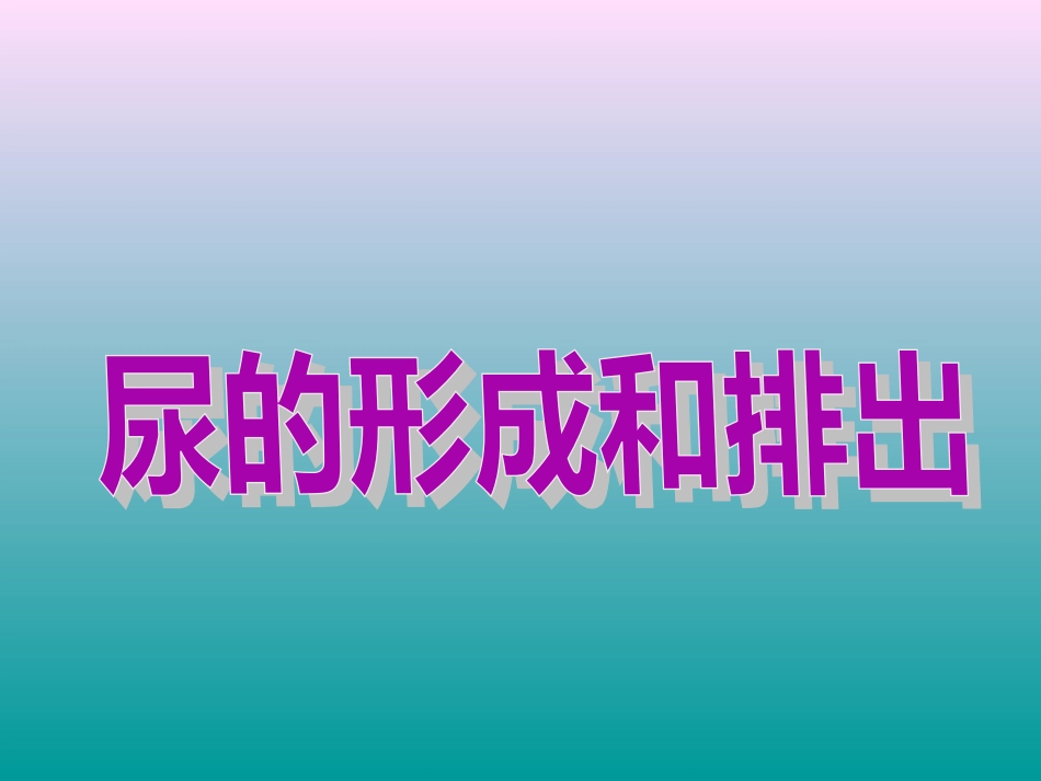 第五章+人体内废物的排出++31_第3页