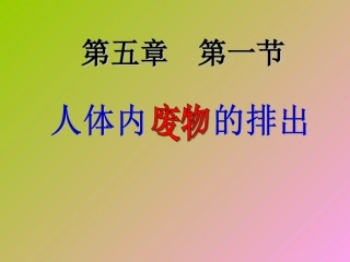第五章+人体内废物的排出++31