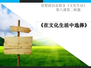 文化生活中选择
