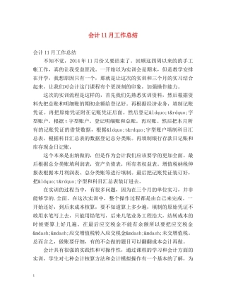 会计11月工作总结 