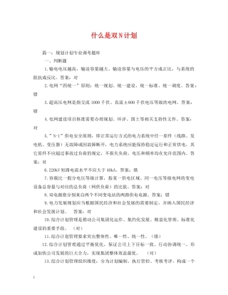 什么是双N计划 