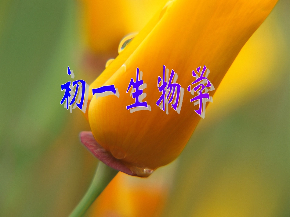 第三节输送血液的泵——心脏_第1页