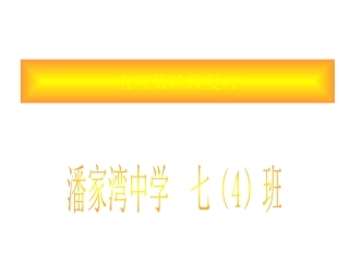 有理数阶段复习