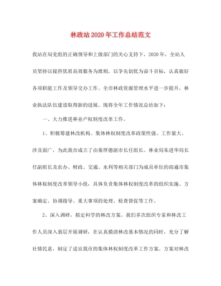 林政站年工作总结范文