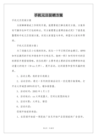 手机元旦促销方案