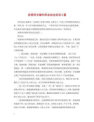 县领导乡镇年终总结会讲话3篇