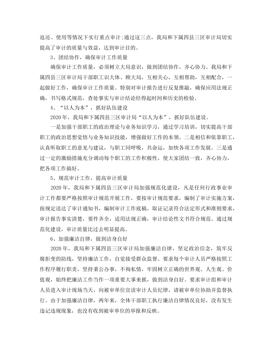 事业单位审计处年终总结 _第3页