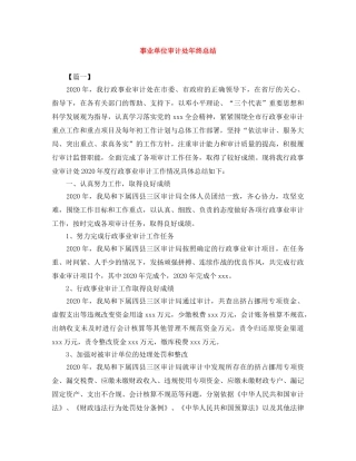 事业单位审计处年终总结 