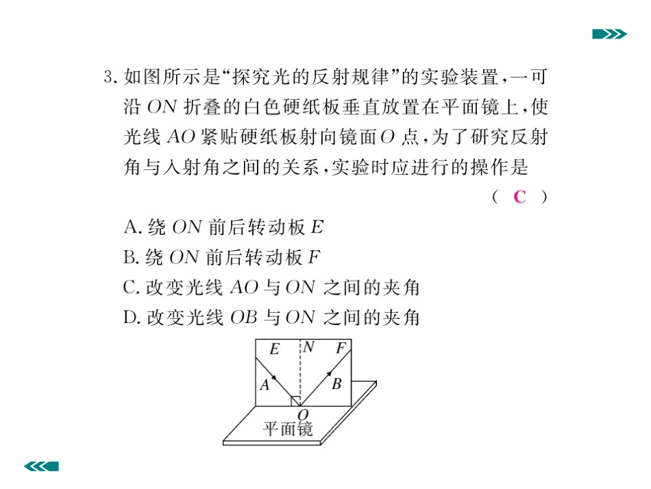 综合训练（二）光的反射和折射_第3页