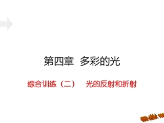 综合训练（二）光的反射和折射