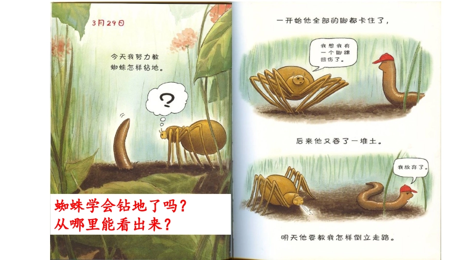 《蚯蚓的日记》_第3页
